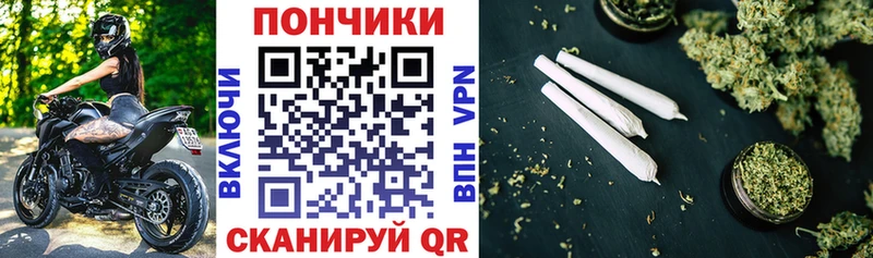 Купить  Бакал  Канабис MAZAR 